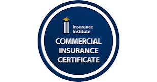 IIC CIC Logo