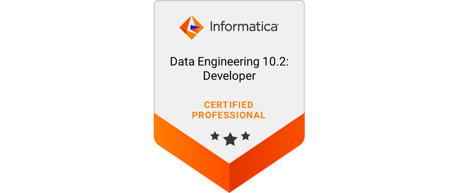 Informatica Data Engineering 10.2 Developer Logo