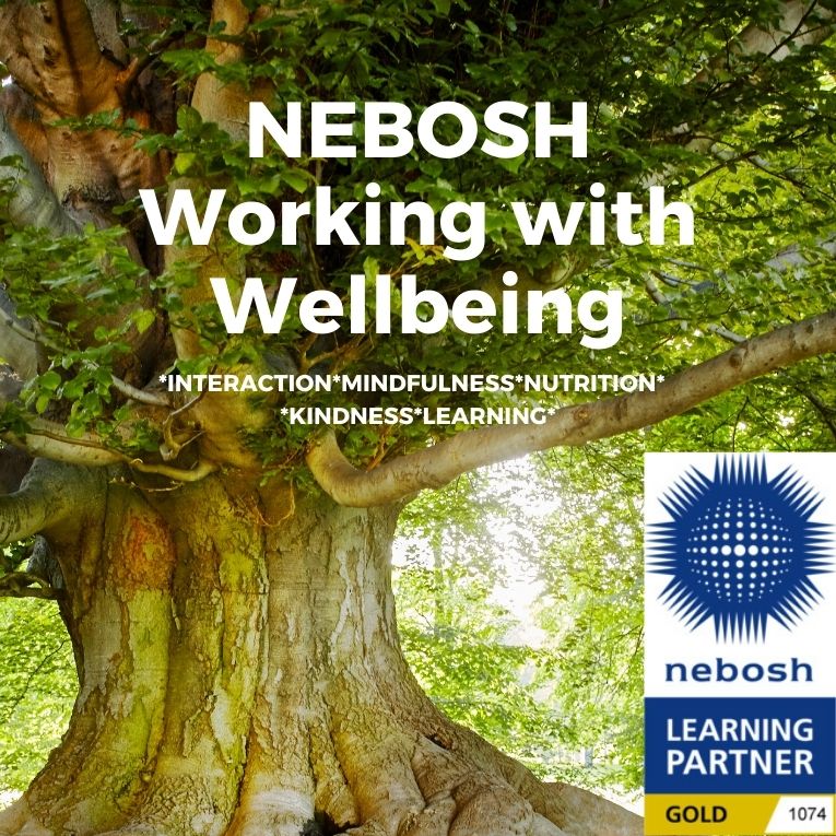 NEBOSH Wellbeing Logo