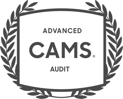 cams audit.png
